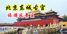 干到爽国产中国北京-东城古宫旅游风景区